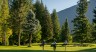 Hidden Gem Golf Courses In British Columbia